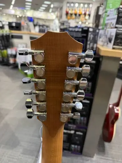 Taylor Guitars - 150E W V2 2